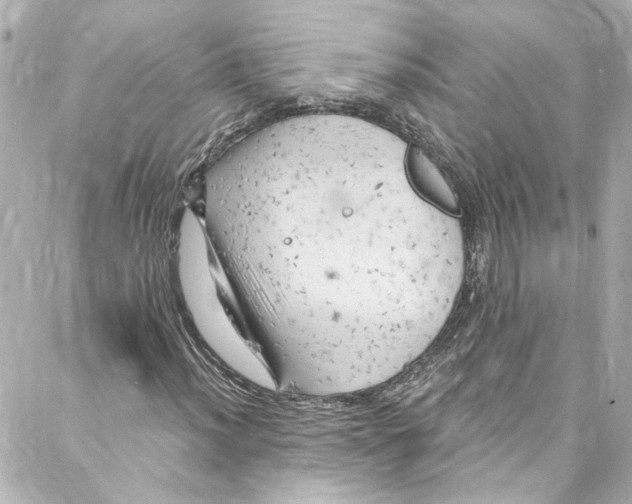 X0000087031012200705141916