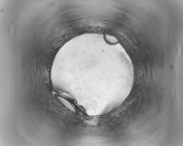 X0000087031013200705141916