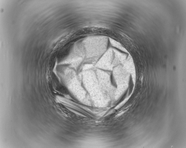 X0000087031014200705141916