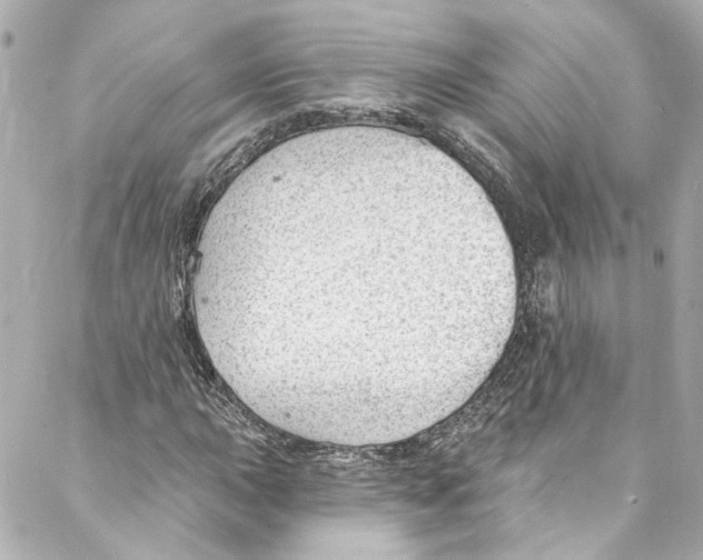 X0000087031015200705141916