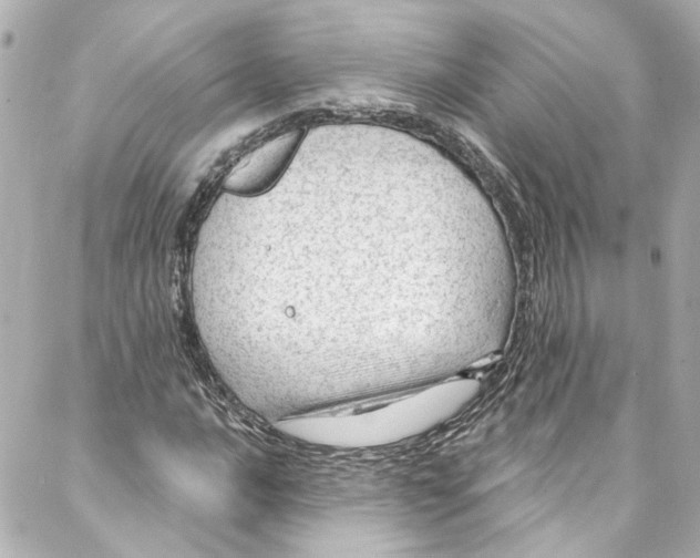 X0000087031016200705141916