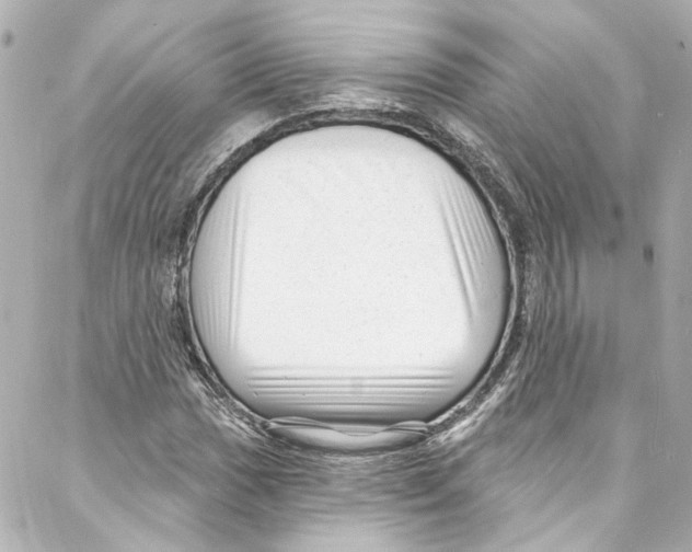 X0000087031017200705141917