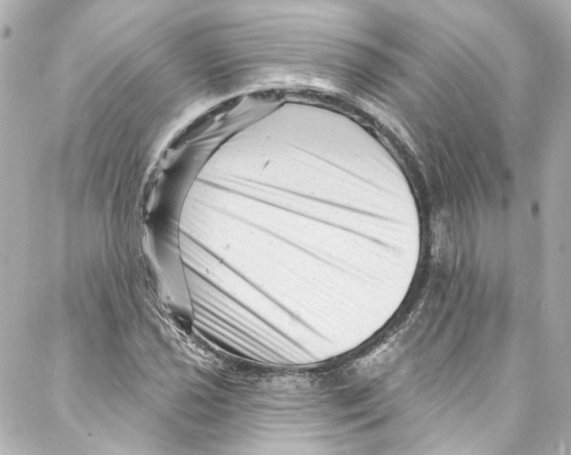 X0000087031021200705141917