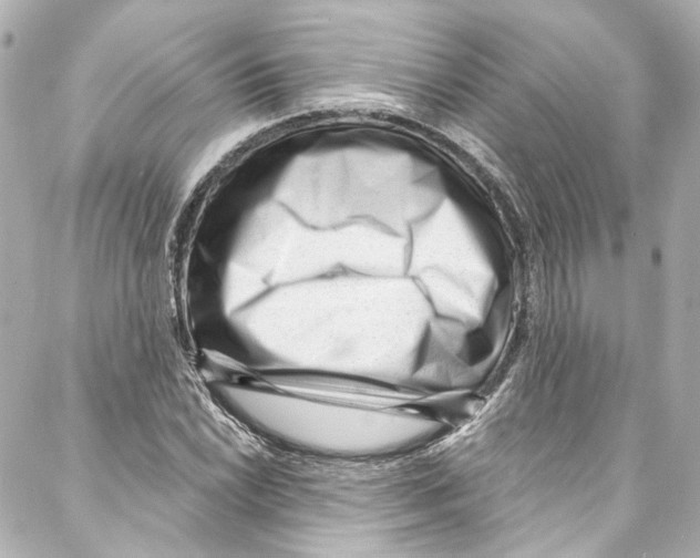 X0000087031022200705141917