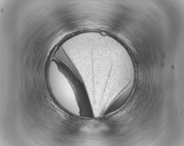 X0000087031023200705141917