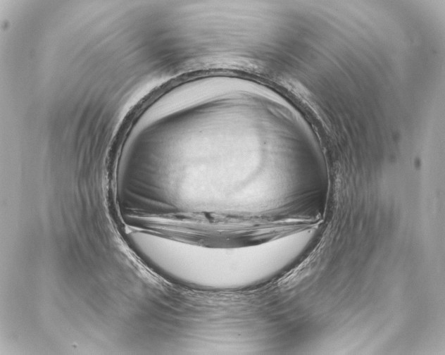 X0000087031024200705141917