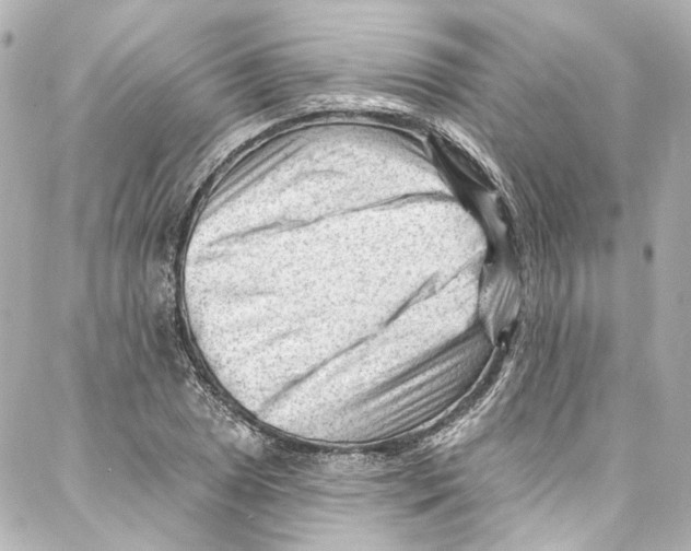 X0000087031025200705141917