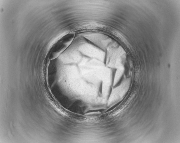 X0000087031026200705141917