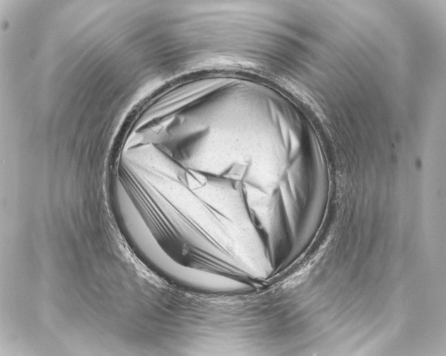 X0000087031029200705141917