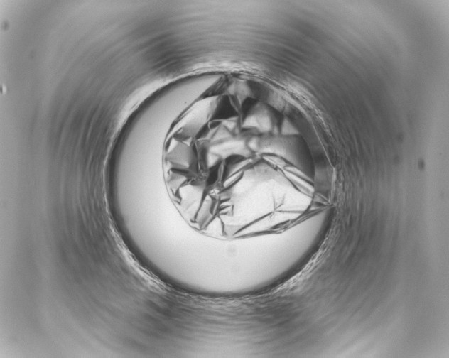 X0000087031030200705141917