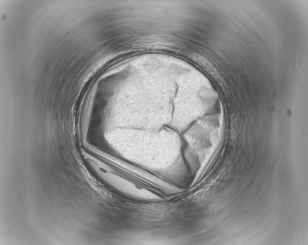 X0000087031031200705141917