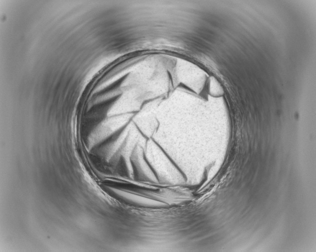 X0000087031032200705141917