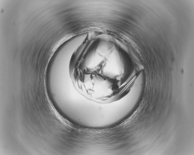 X0000087031034200705141917