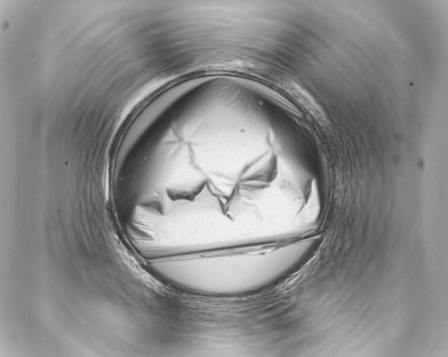 X0000087031036200705141917