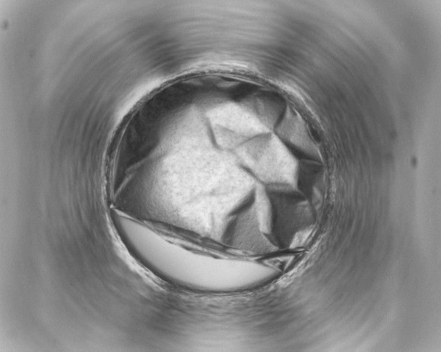 X0000087031038200705141917