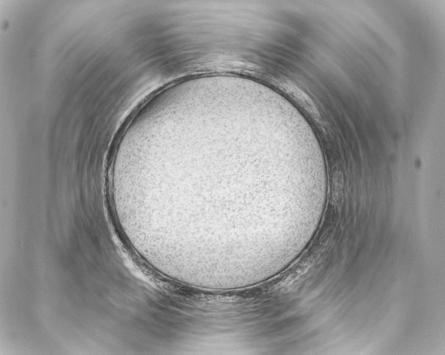 X0000087031039200705141917