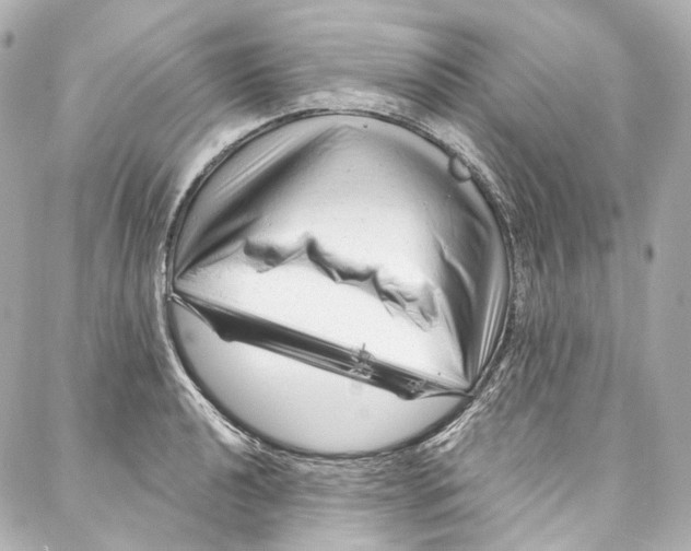 X0000087031040200705141917