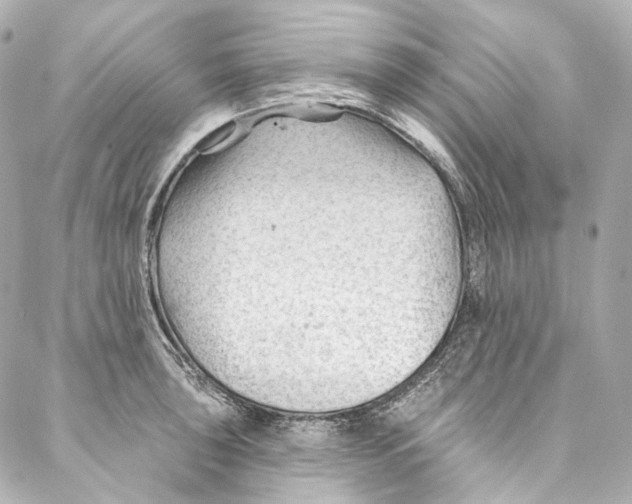 X0000087031043200705141917