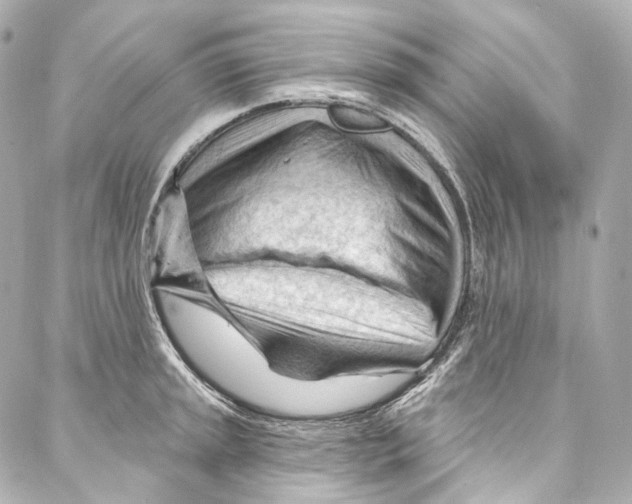 X0000087031045200705141917