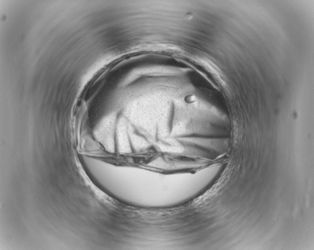 X0000087031046200705141917