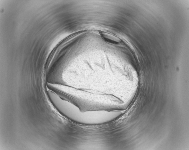 X0000087031048200705141917