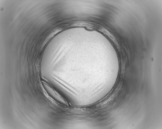 X0000087031049200705141917