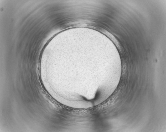 X0000087031051200705141917