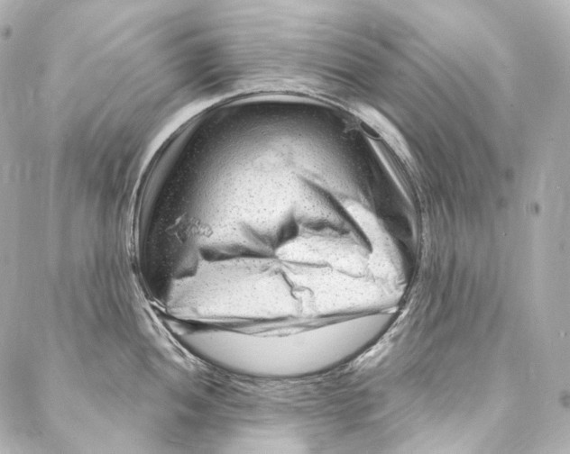 X0000087031052200705141917