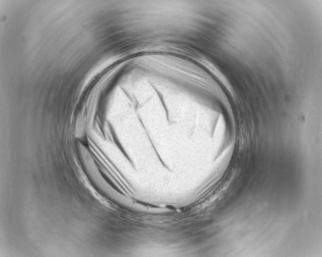 X0000087031053200705141917