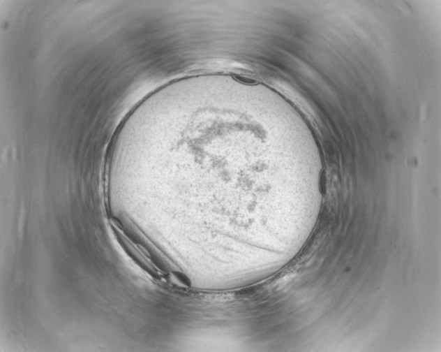 X0000087031055200705141917