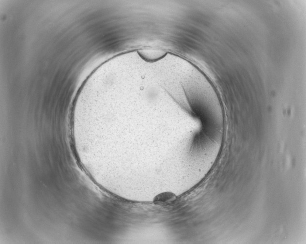 X0000087031056200705141917