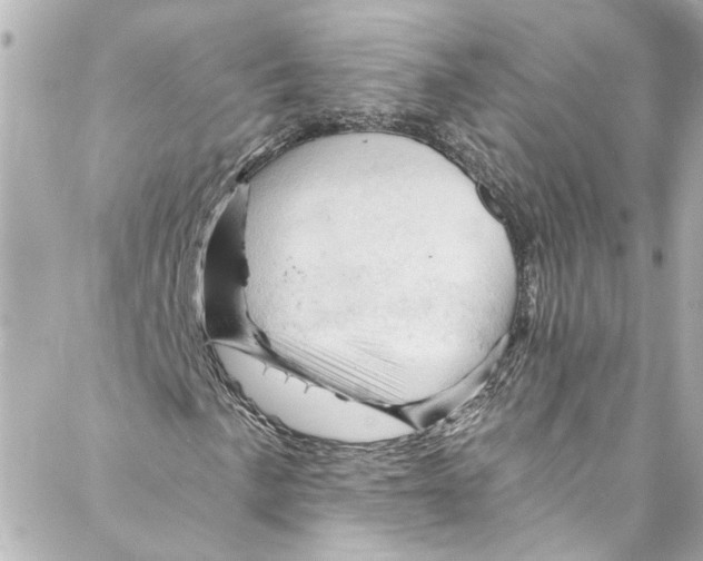 X0000087031057200705141916