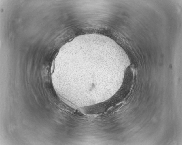 X0000087031059200705141916