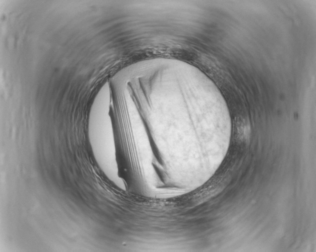 X0000087031060200705141916