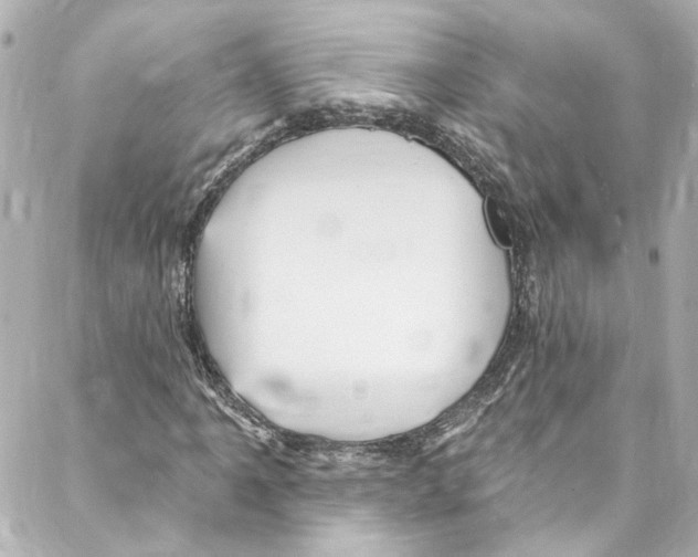 X0000087031061200705141916