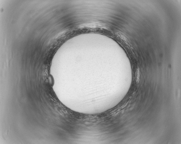 X0000087031062200705141916