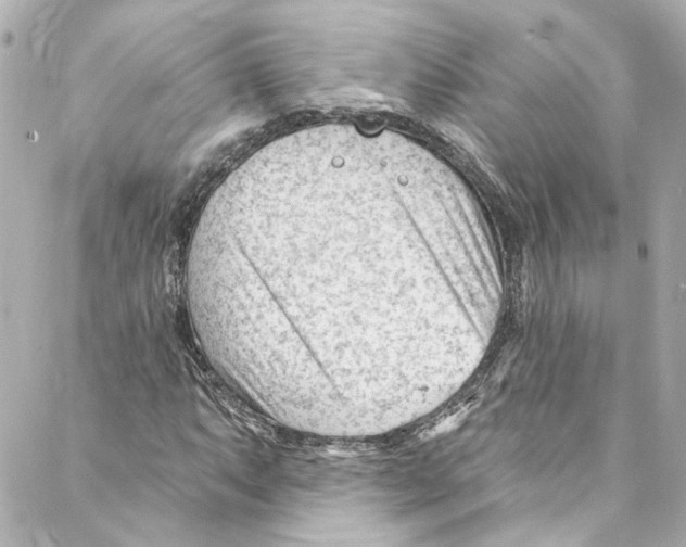 X0000087031063200705141916