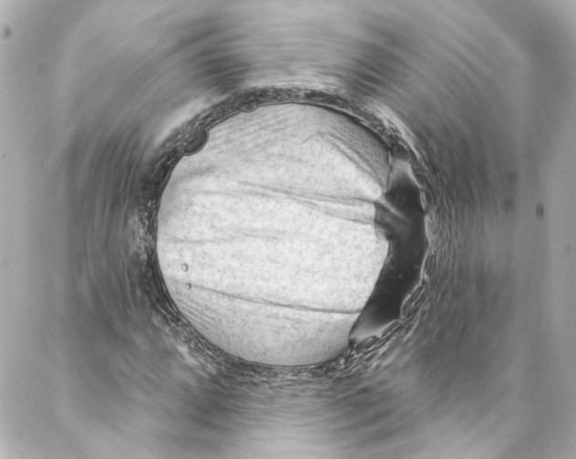 X0000087031064200705141916