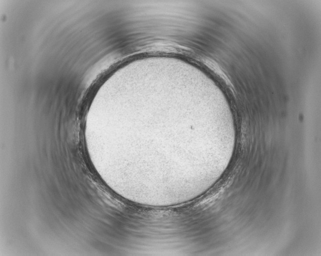 X0000087031067200705141916