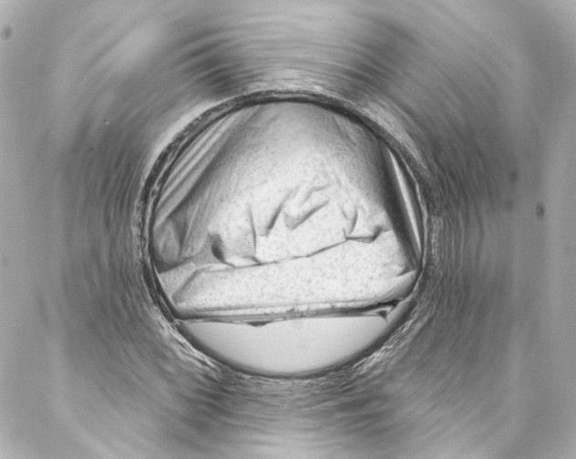 X0000087031068200705141916