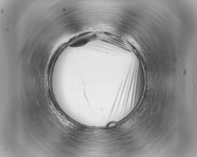 X0000087031072200705141916