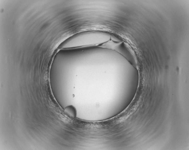 X0000087031073200705141916