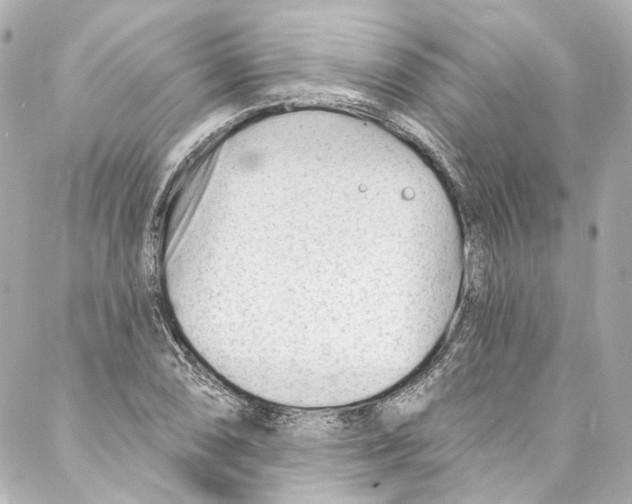 X0000087031074200705141916