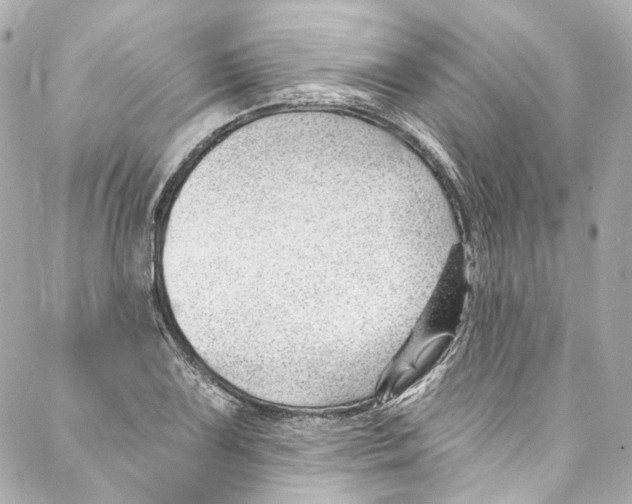 X0000087031075200705141916