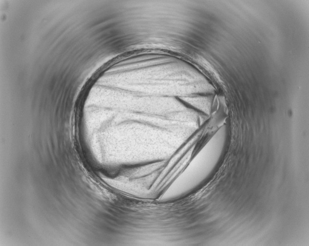 X0000087031076200705141916