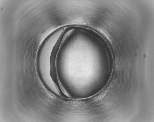 X0000087031077200705141916