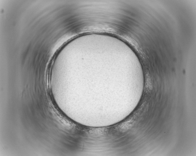 X0000087031078200705141916