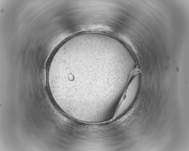 X0000087031079200705141916