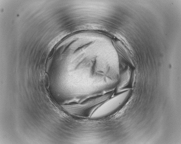 X0000087031081200705141916