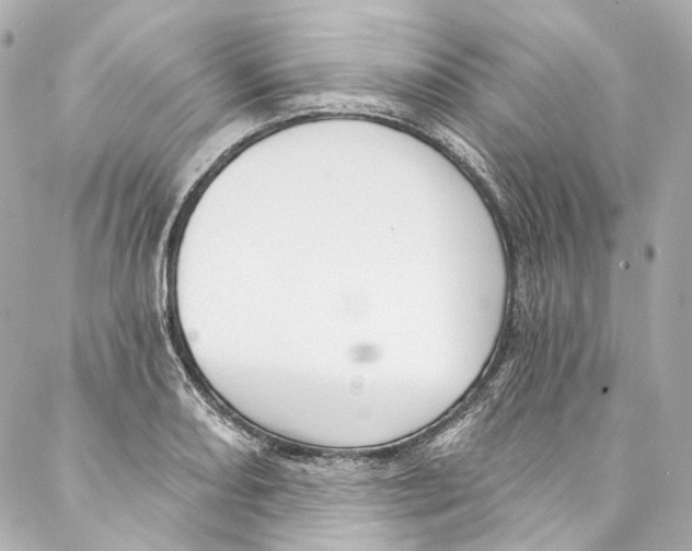 X0000087031082200705141916